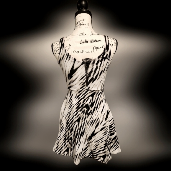 Express Sleeveless Skater Dress - Picture 4 of 11